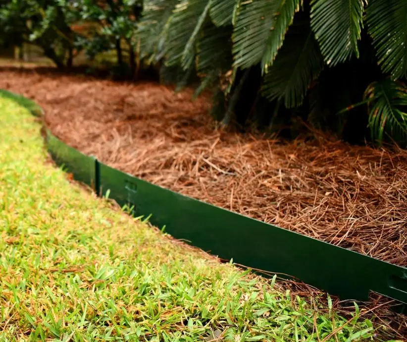 Green steel edging separating a lawn from a pine straw bed