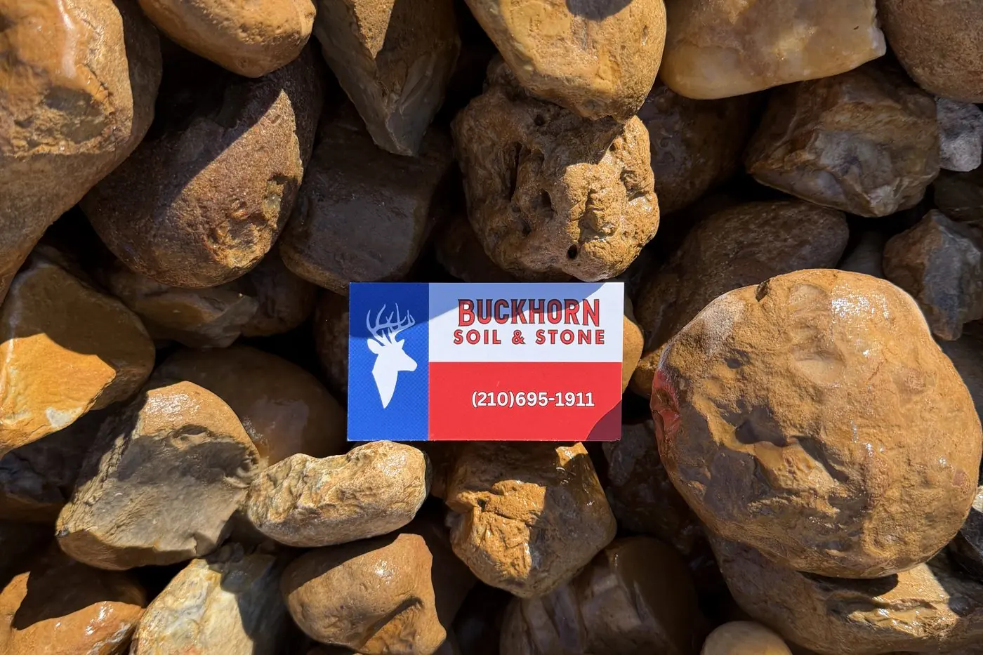 3 to 5 inch Colorado bull rock